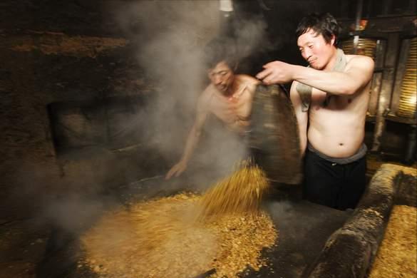 豆粕现在基差这么高怎么办,豆粕质量标准最新