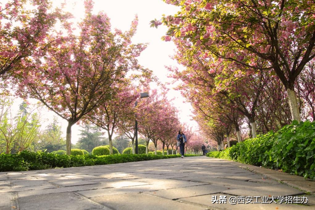 拜年要压岁钱新花样,拜年花式创意