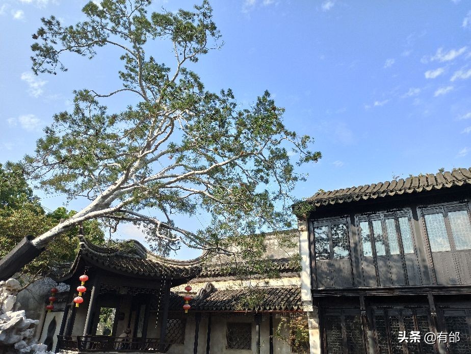 同里旅游攻略同里古镇好玩吗,同里古镇门票春节免费几日