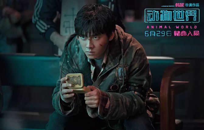 刘昊然和鹿晗的新作口碑崩塌，流量们该不该背锅？