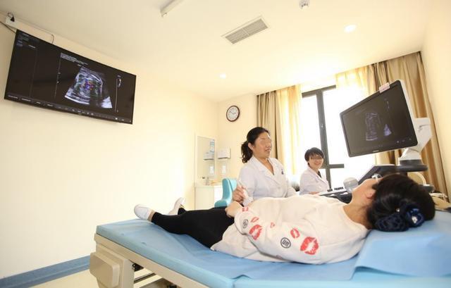 小蝌蚪不出来的时候去哪了,没出来的小蝌蚪去哪了