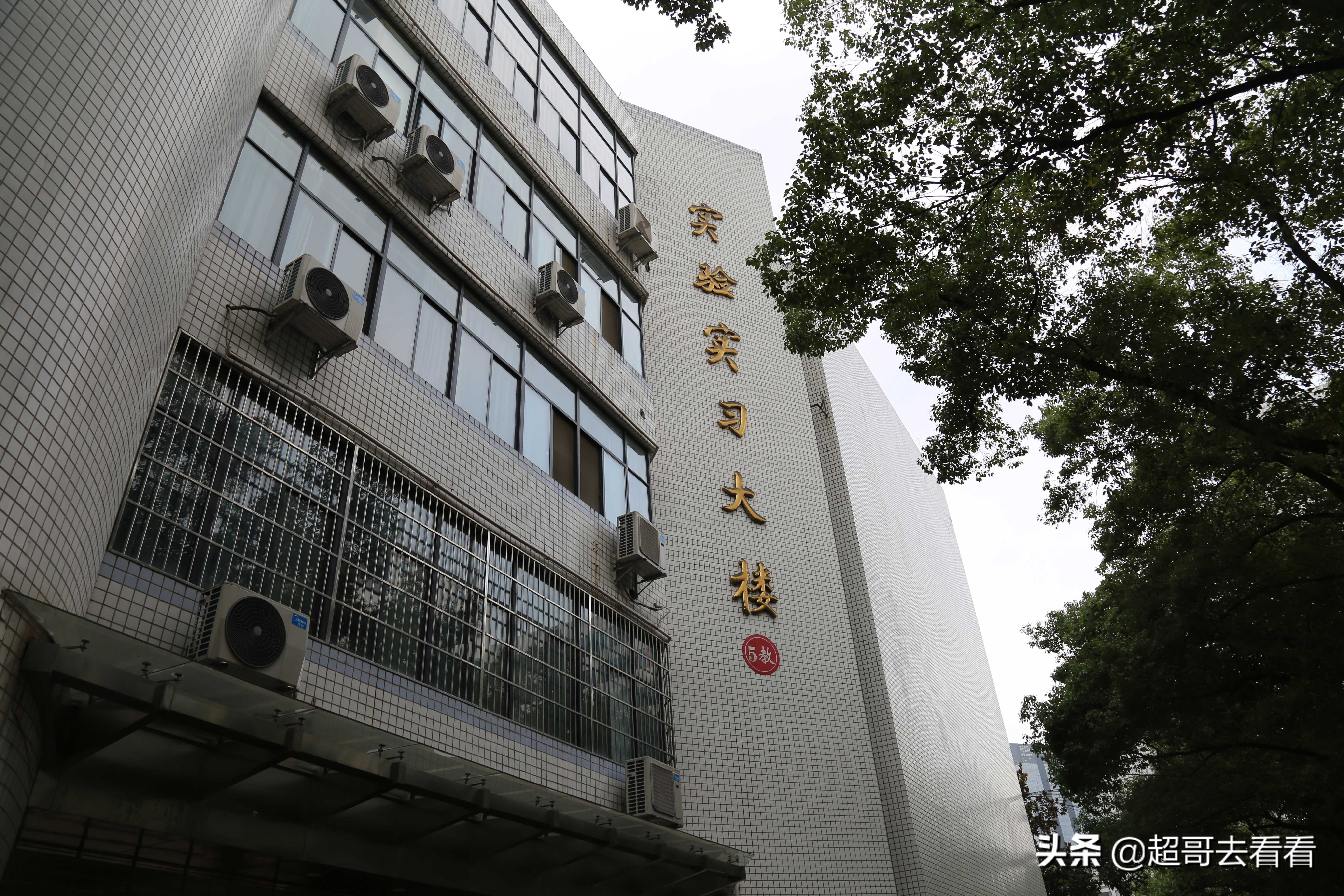 国家电网武汉电力研究院,湖北电网武汉电力职业技术学院