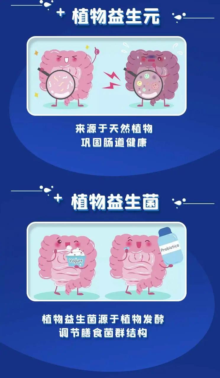 花花牛无蔗糖老酸奶,花花牛乳酸菌