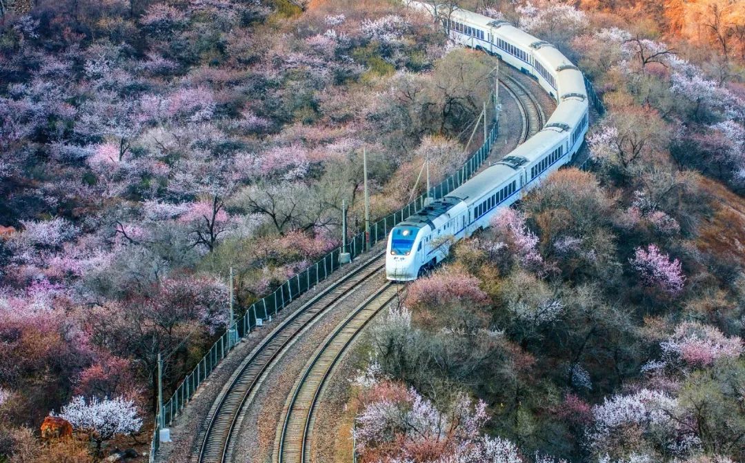 太美了开往春天的列车,这些开往春天的列车简直美呆了