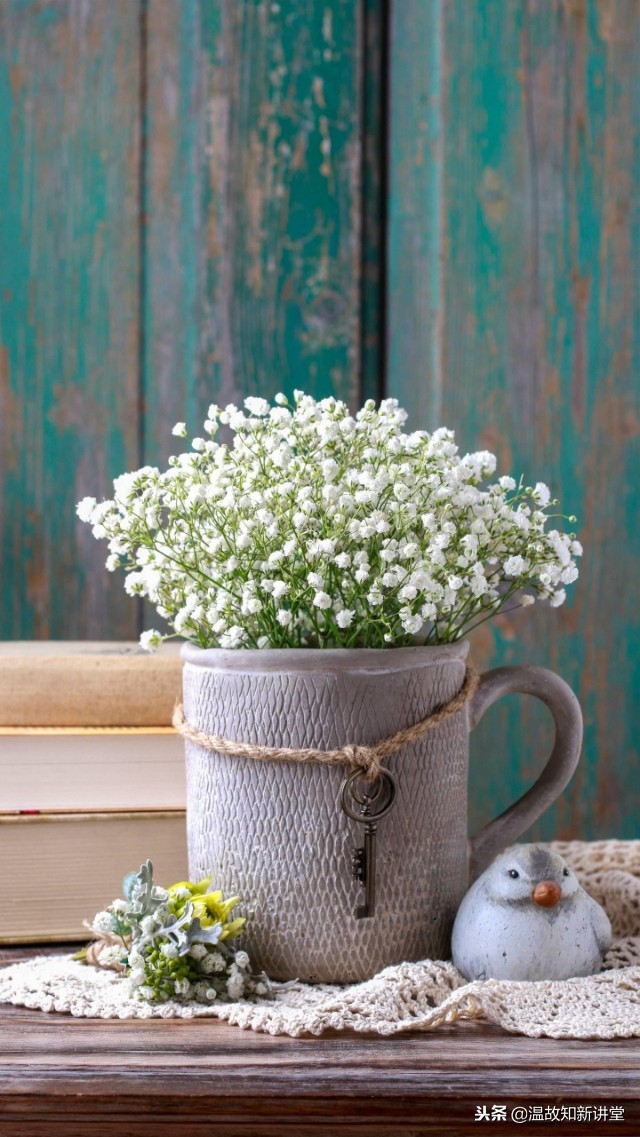 小学数学几何题求阴影面积技巧,小学五年级几何阴影面积合集视频