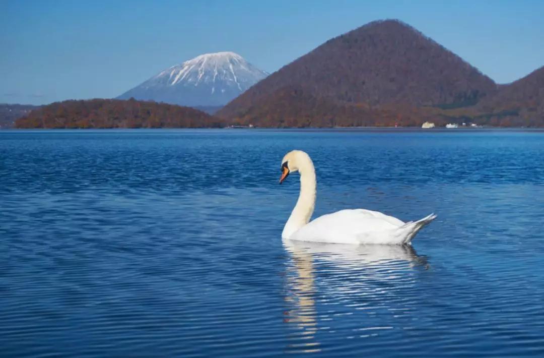日本最好看的铁路,日本为什么热衷于东南亚铁路