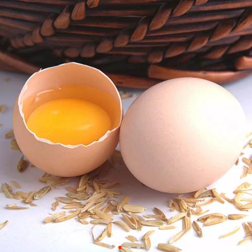 你家的母猪为何总是难产？有两个解决办法