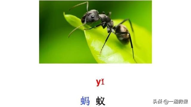 学拼音幼小衔接拼音认读,汉语拼音音节幼小衔接大班