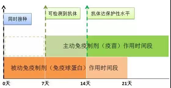被猫跟狗咬了会得狂犬病吗,被猫跟狗咬了打的是同一款疫苗吗
