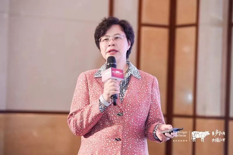 这一次，风口上站的是肉牛