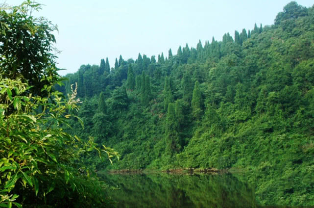手竿钓大头鱼的最佳方法,手竿钓大头鱼的鱼饵料什么最好