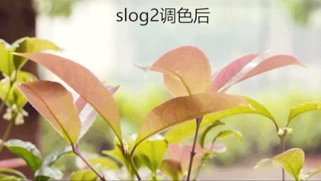 为什么你拍出来的视频不好看,为什么拍的视频不够清晰