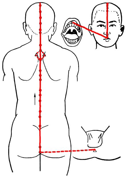 冷热刺激痛咬合痛就要根管治疗,中医解释身体酸麻胀痛的原因