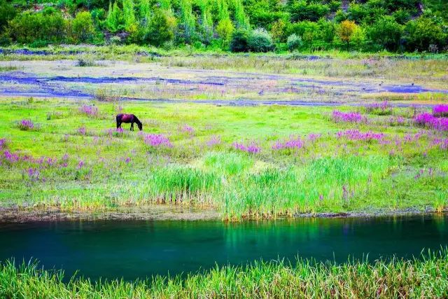 比九寨沟还漂亮的景点,比四川九寨沟更美的地方