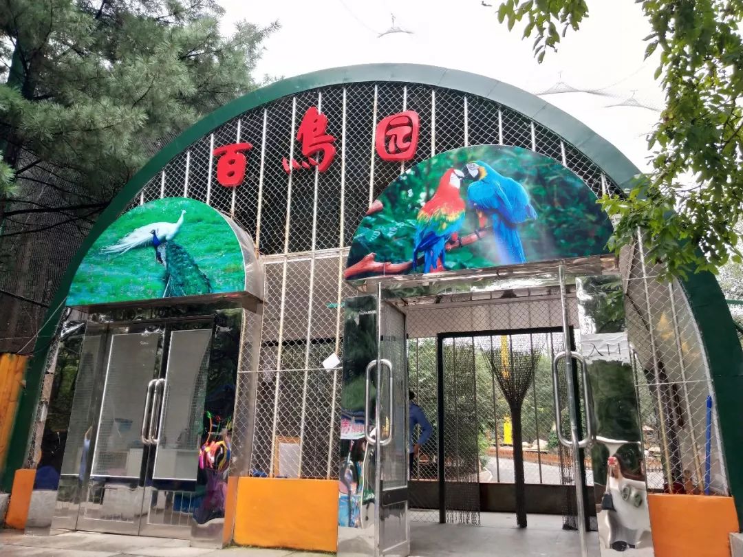 今起东北虎园大门票半价!近百种珍稀动物,带你走进现实版动物世界!