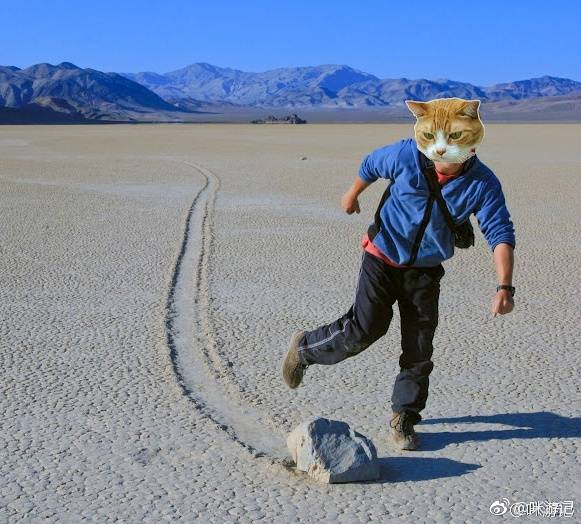 自驾加州的感受 (加州自驾需要准备什么物品呢)