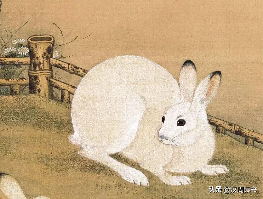 为什么中国人自古喜欢兔子,为什么中国古时喜欢兔子