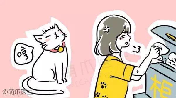 猫咪为啥喜欢玩袋子 (为什么猫咪喜欢吃塑料袋)