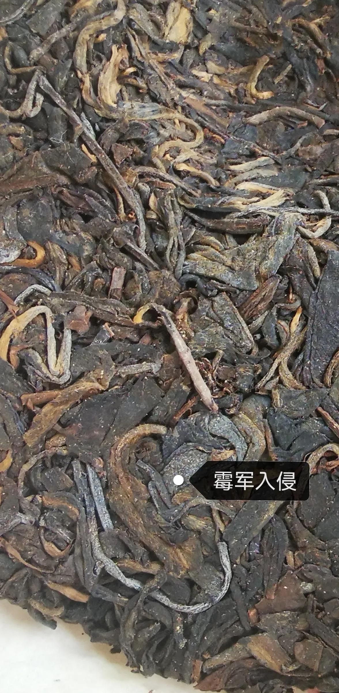 红茶硬核知识,硬核茶谈