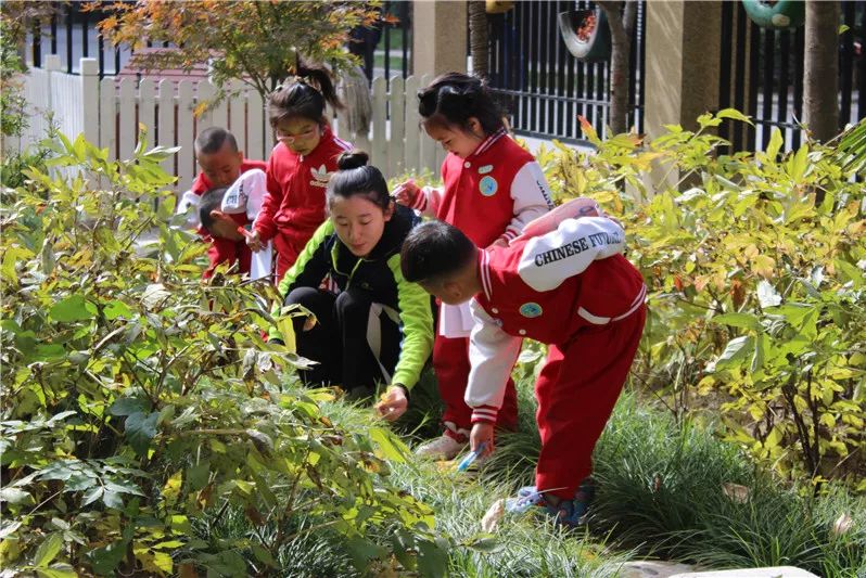 郭杜街道茅坡幼儿园,家门口的好学校幼儿园