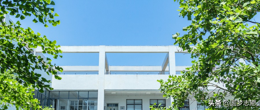 300多分也能上大学吗,300多分可以上本科师范学校吗