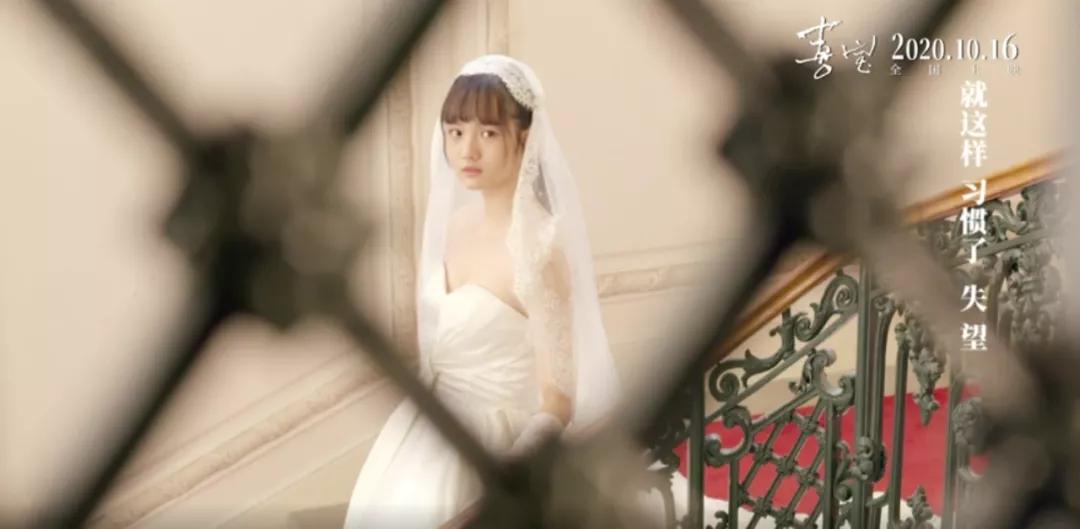 喜宝的剧情解析,喜宝剧情详细解析