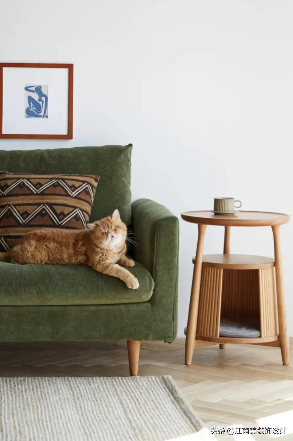 没有阳台的房子养宠物怎么装修,家里养宠物该怎么装修