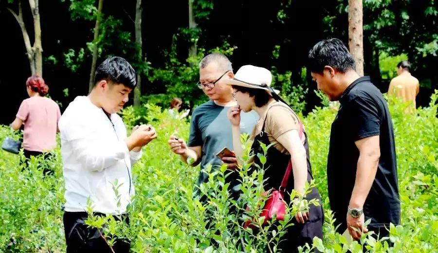 娘家人为您推荐蛟河休闲旅游精品景点