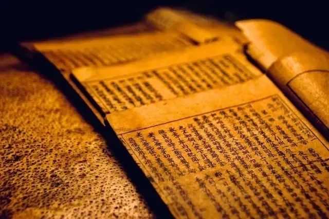 燕窝的故事大全视频,燕窝相关的故事