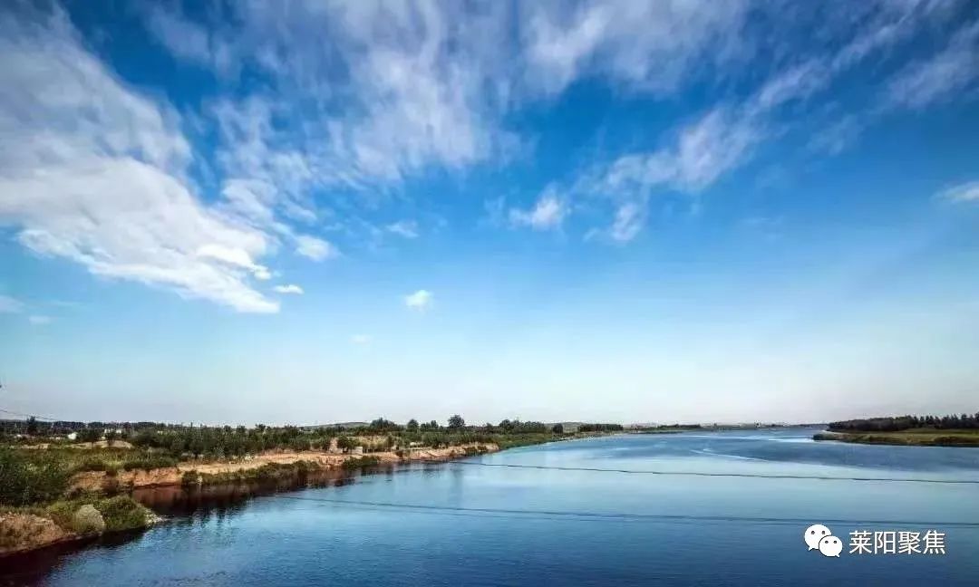 莱阳丁字湾,莱阳丁字湾最新消息