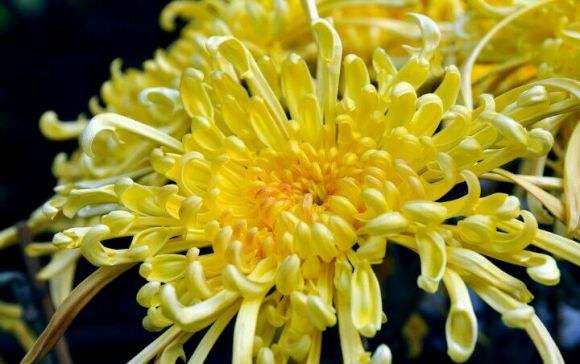 反复肛裂不见好怎么办,肛裂为啥老是开裂和痒