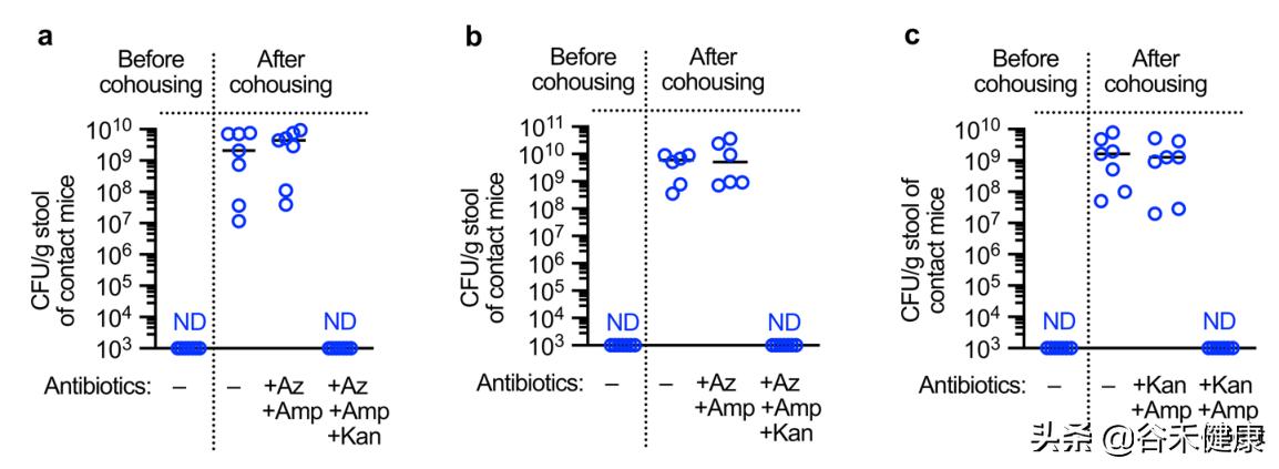 探索微生物奥秘演讲,微生物菌剂探索