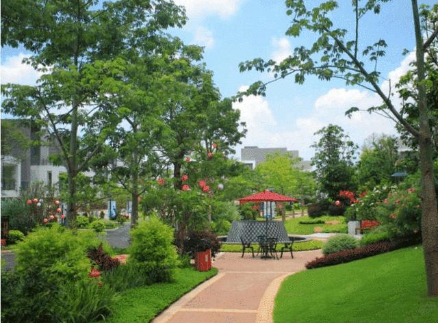 小池带大家去哪里玩,小池旅行哪里划算