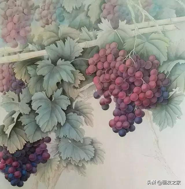陈松岩工笔白描画全集,陈松岩工笔国画