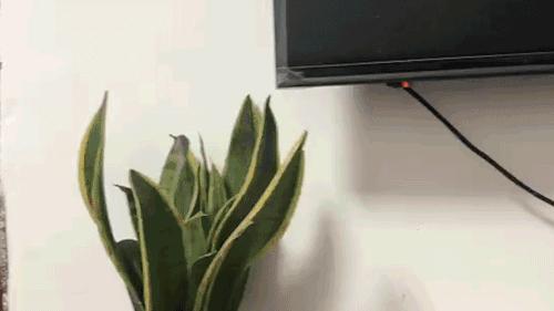 使用手机检测房间内针孔摄像头,男子住房发现针孔摄像头