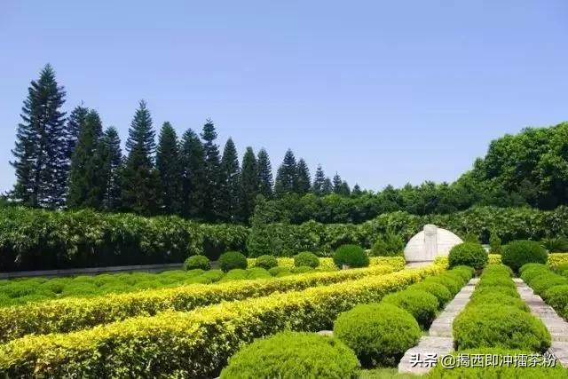 羊城通能不能在广州使用,羊城通可以在澳门用吗