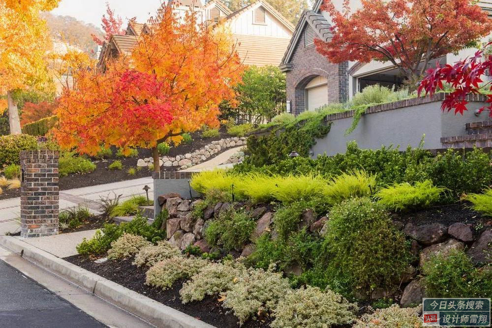 小院草坪如何养护,庭院绿化最佳养护方法