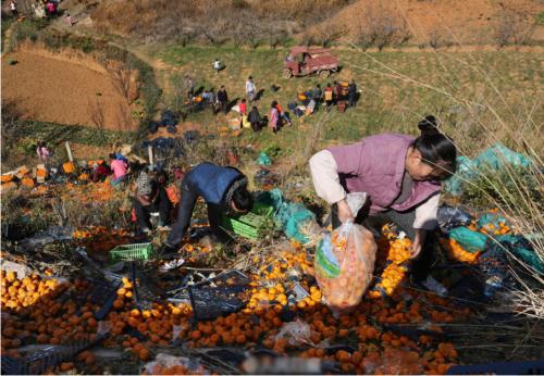 老祖宗四大识人术一看一个准,古人说面相两腮没肉