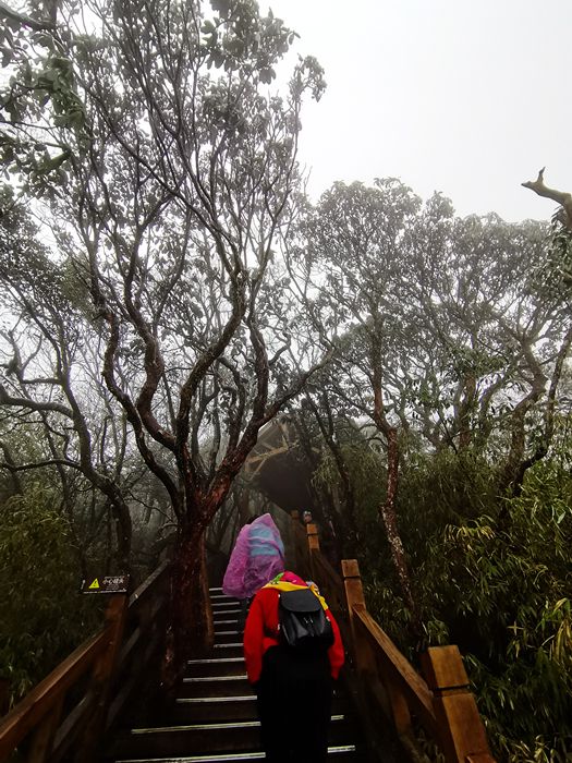 雨中的梵净山景色,烟雨梵净山