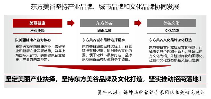 东方美谷前世今生,东方美谷发展