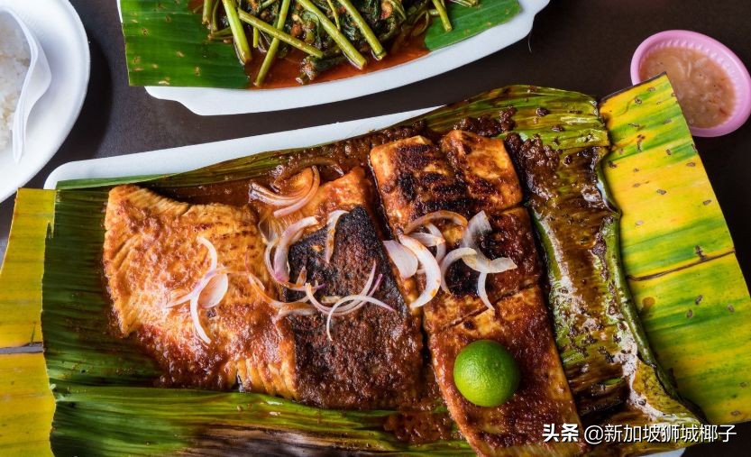 新加坡吃不到的食物,去新加坡吃东西发现没有美食