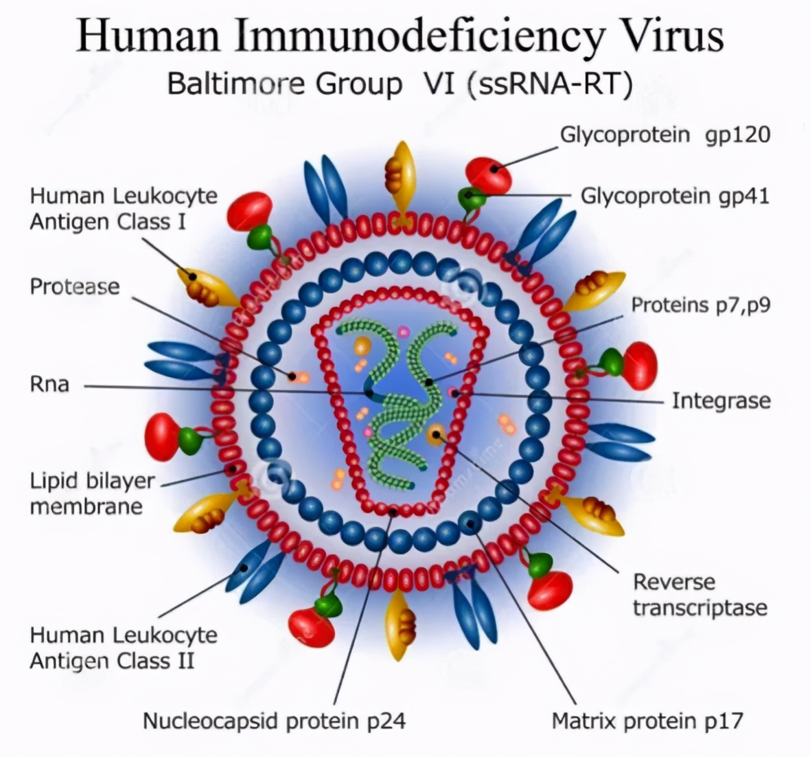 cell深入研究人类经验之谈,cell艾博论文