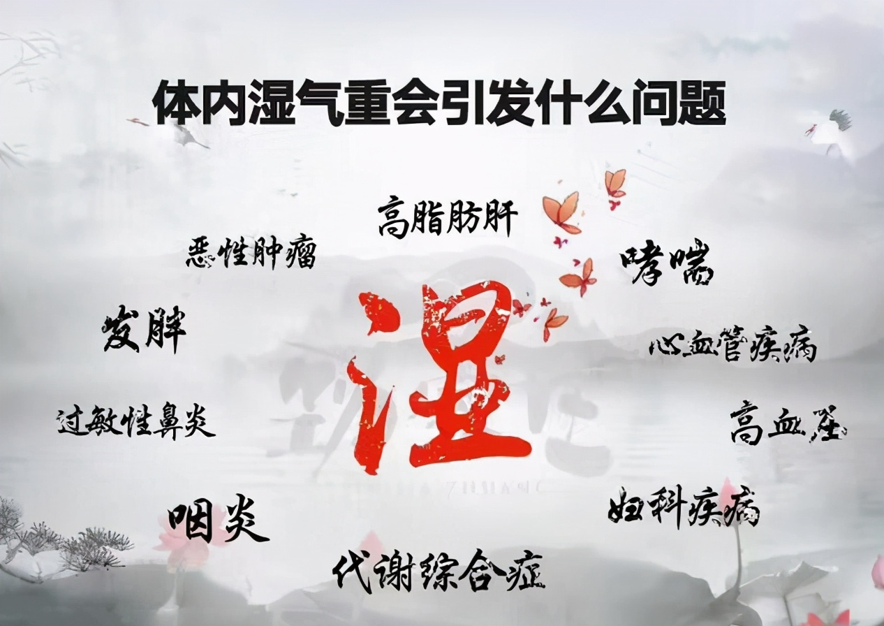 湿气重教你一招祛湿气,湿气重怎么办教你4个祛湿绝招