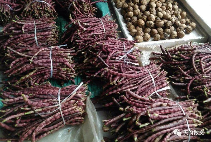 看到爸爸数钱的视频,看爸爸数钱把孩子笑翻了