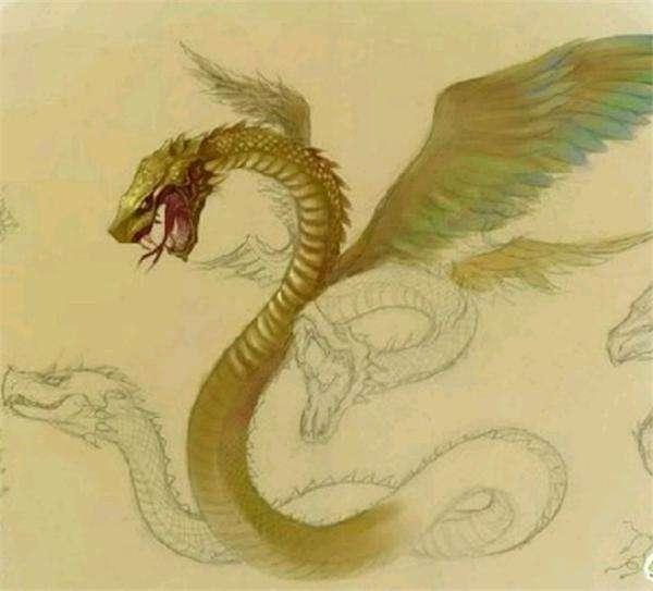 十二生肖蛇的来历简介,12生肖里面的蛇的来历和文化