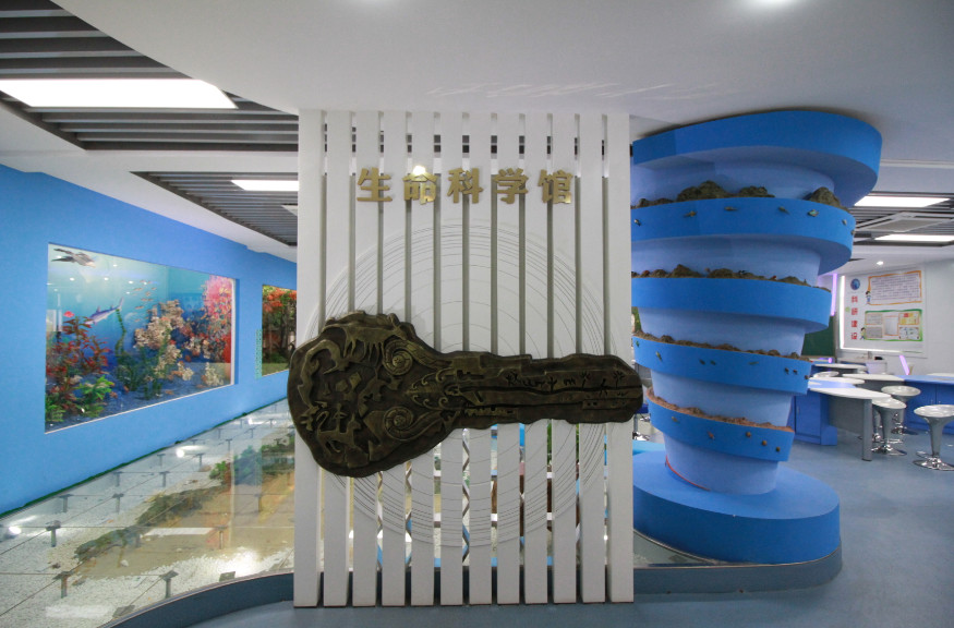 看完南京中山小学的家长,我觉得自己家孩子不配上学