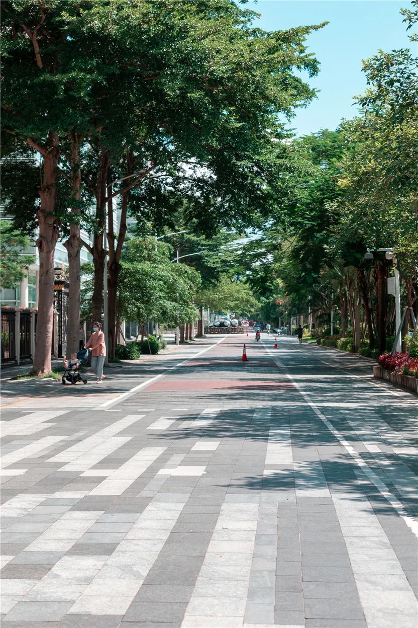 深圳盐田最大的地区,深圳盐田没有潜力吗