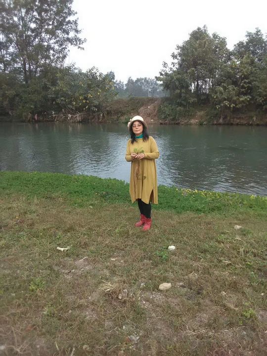 江油附子专卖店,四川江油生附子