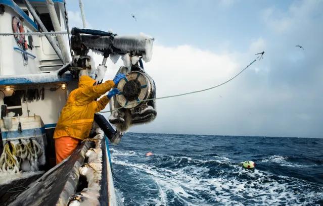 世界最有幸福感的行业排行,世界上六大轻松的职业