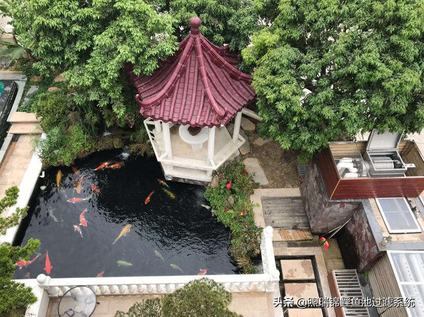 一个强大的过滤系统,一个过滤系统带多个鱼缸